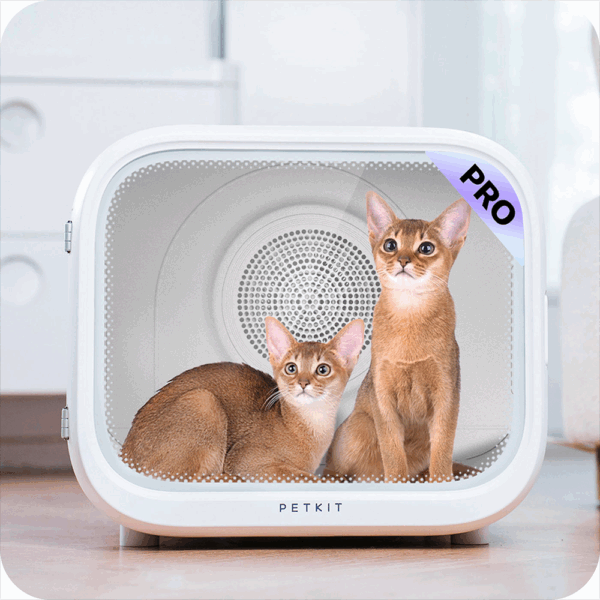 Petkit Akıllı Evcil Hayvan Kurutma Makinesi Max Pro