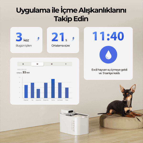Petkit Eversweet Max Su Pınarı