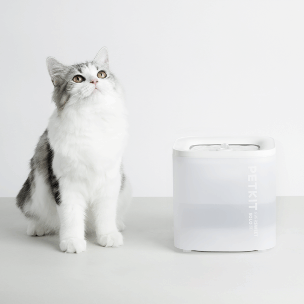 Petkit Eversweet Solo SE Su Pınarı