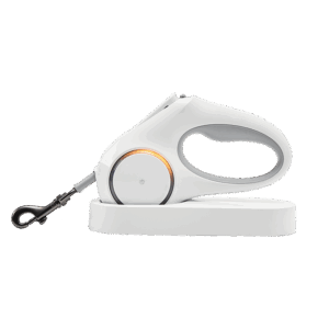 Petkit Ledli Köpek Tasması 3M