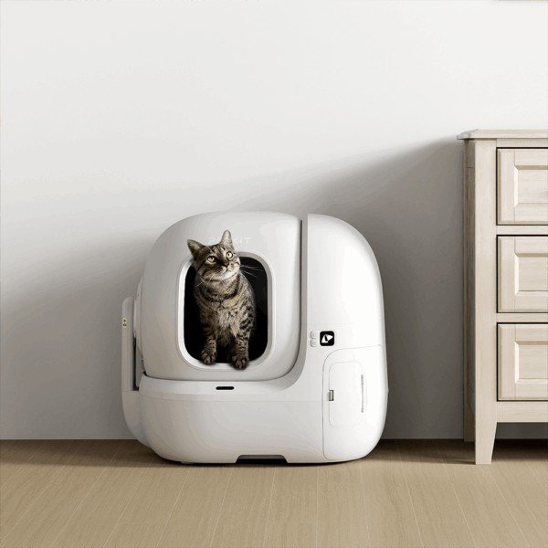 Petkit Purobot Max Pro Akıllı Kedi Tuvaleti